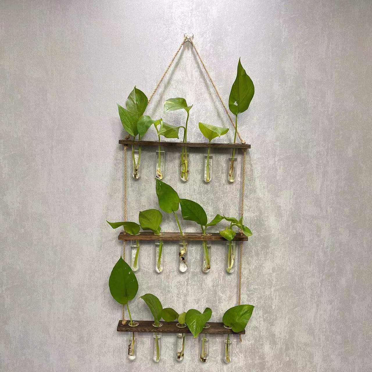 Hydroponics Wall Hanging Vase test tube