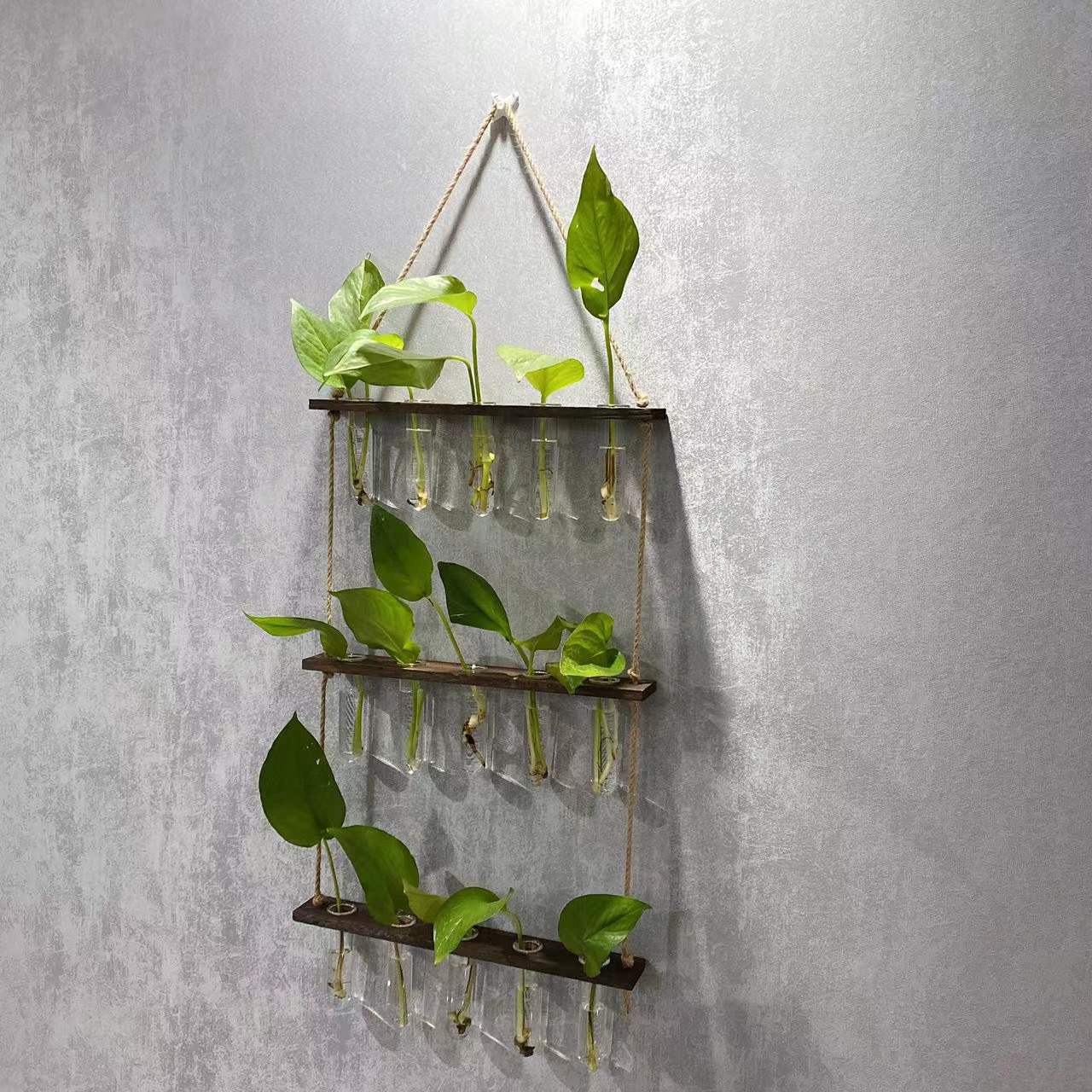 Hydroponics Wall Hanging Vase test tube