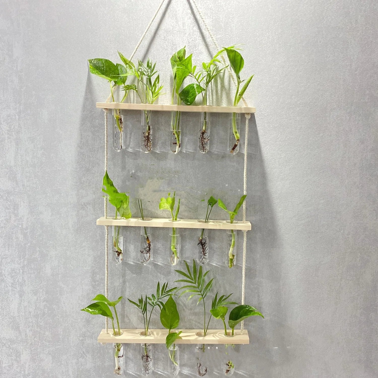 Hydroponics Wall Hanging Vase test tube